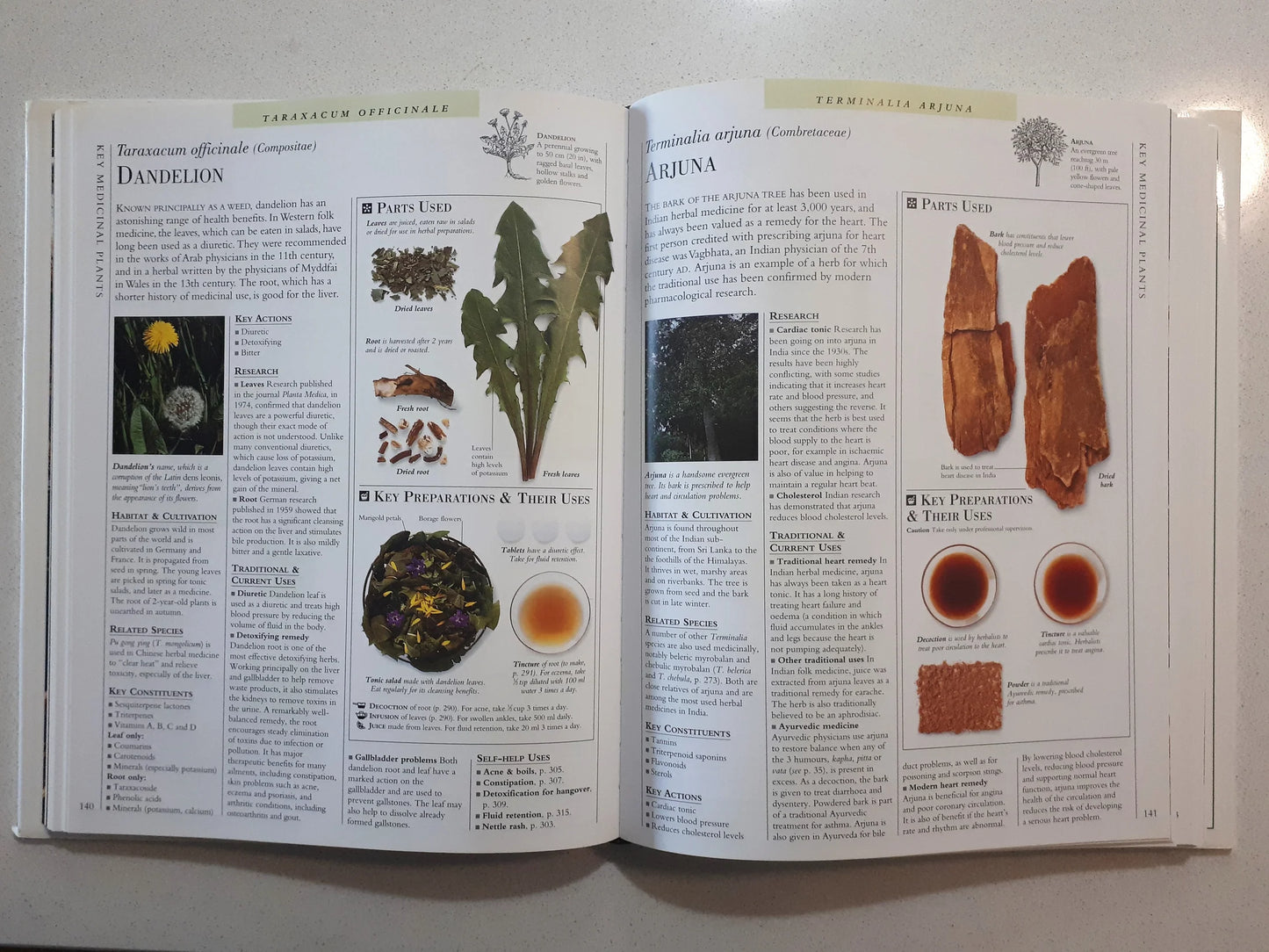 The Encyclopedia of Medicinal Plants by Andrew Chevallier