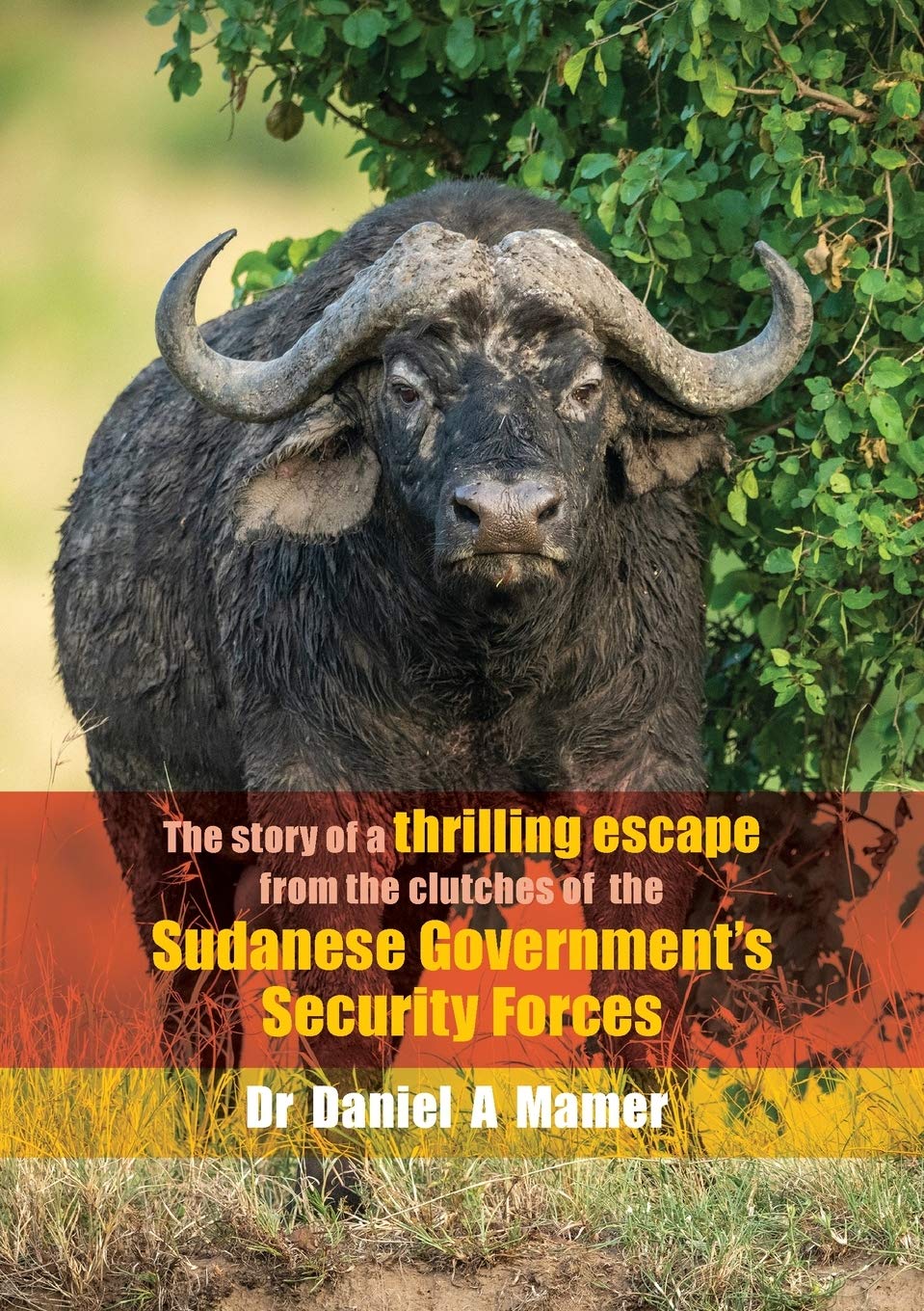 The Story of a Thrilling Escape from the Clutches of the: Sudanese Government's Security Forces by Daniel A Mamer